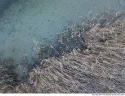 Photo Textures of Ground Grass Dead